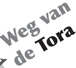 Studieweekend 2026 Weg van de Tora